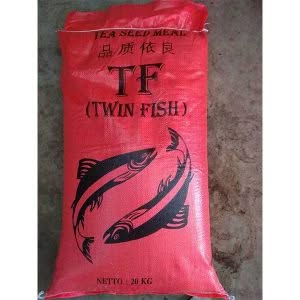 Saponin Ex Twin Fish